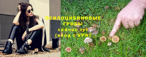 прущие крисы Алзамай