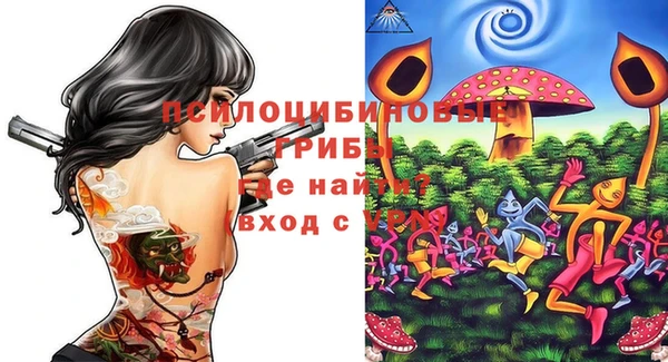 прущие крисы Алзамай