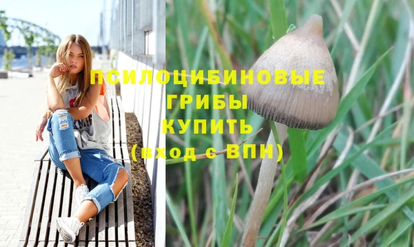 a pvp Алексеевка