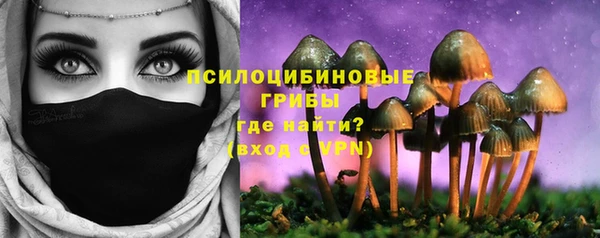 a pvp Алексеевка